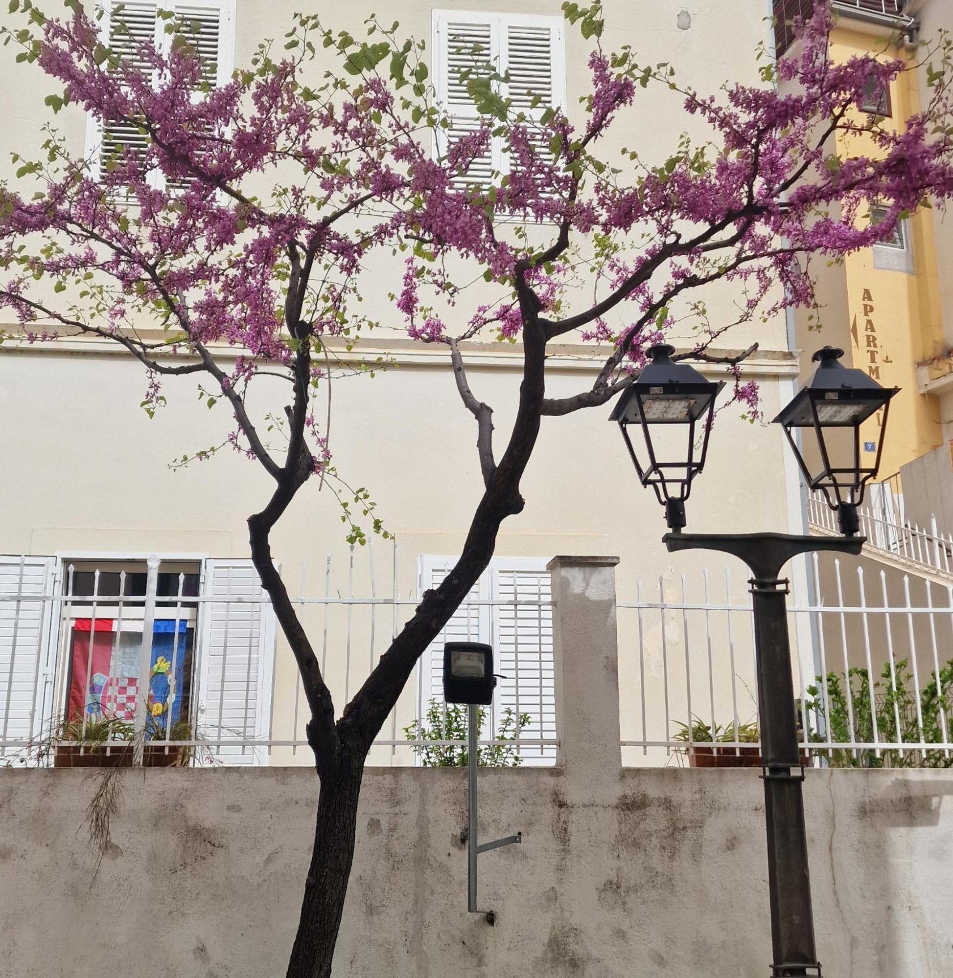 Old Town Apartment Omiš Exteriér fotografie